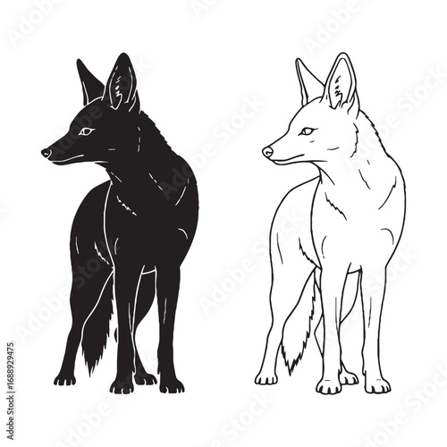 Classic Jackal Silhouette & Jackal Lineart – Jackal Vector Graphic with Traditional Wildlife Form – Black Vector of Jackal – Vector Set of Jackal