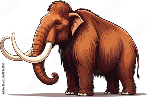 Cute cartoon a illustrator vector woolly