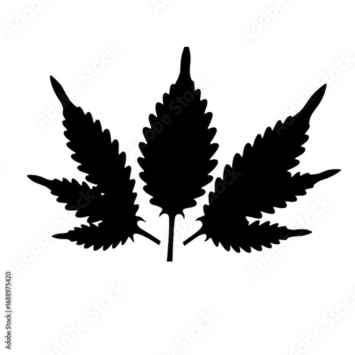 cannabis leaf vector illustration