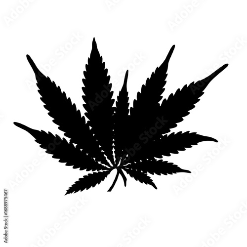 cannabis leaf vector illustration