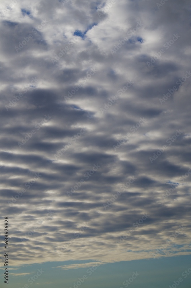Obraz premium Clouds over the forest in summer
