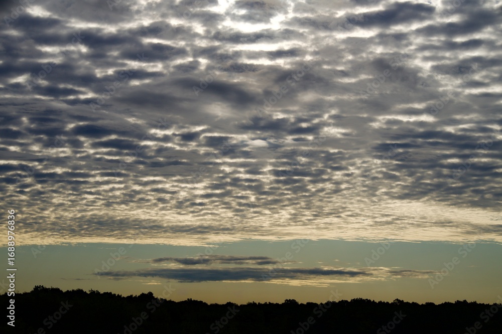 Fototapeta premium Clouds over the forest in summer