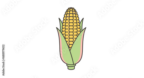 A single ear of fresh yellow corn encased in green husks a healthy and natural food item from the plant kingdom and a staple crop cultivated worldwide for its versatility
