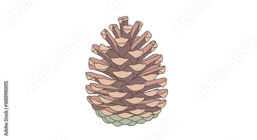 Detailed Illustration of a Pinecone Showing its Natural Intricate Structure and Scales