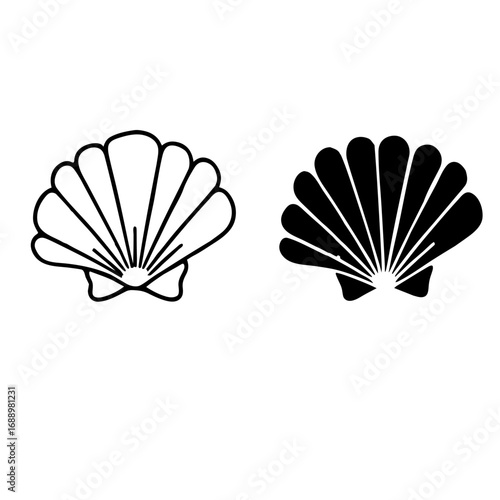 shell on white background