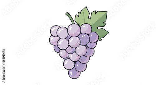A Bunch of Ripe Purple Grapes Hanging with a Leaf and Stem on a White Background