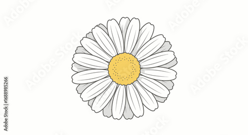 A Close Up Drawing of a White Daisy Flower with a Yellow Center Against a White Background