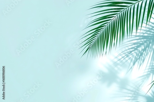 Generative AI Palm Frond Shadow on Pastel Background.