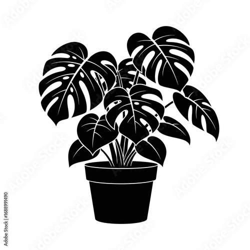 vector illustration of a plant