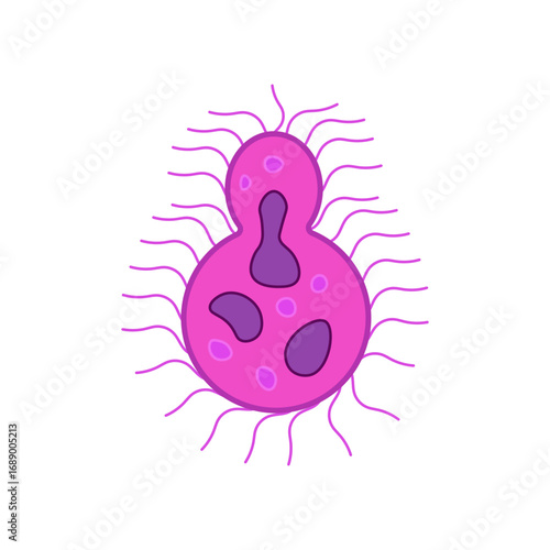 Cryptococcus