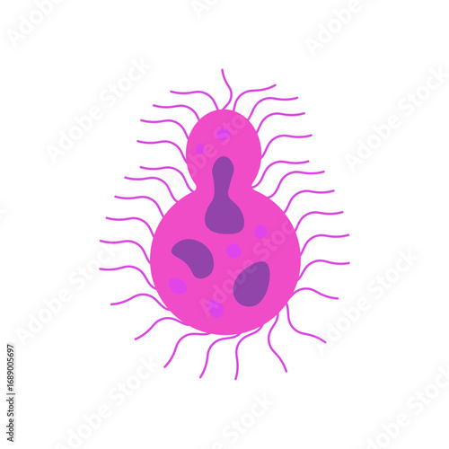 cryptococcus, 