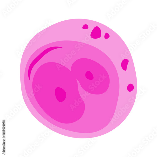 hodgkin cell