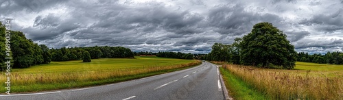 Wallpaper Mural A sweeping landscape panorama displays a winding road through golden fields under a dramatic sky filled with dark, brooding clouds. Torontodigital.ca