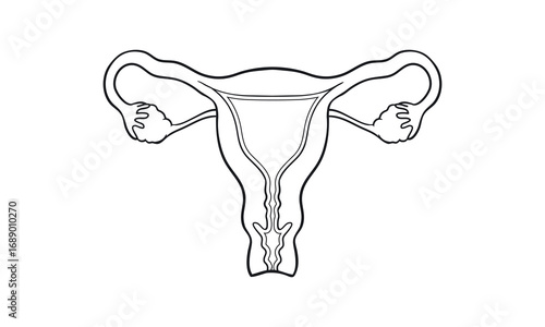 Female reproductive system vector icon of the uterus for gynecology and women's health concepts.