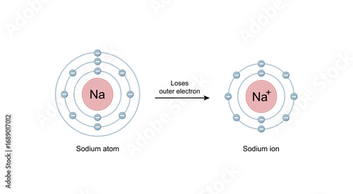 Sodium ion. Cation Structure, positively charged ion. Scientific Design. Vector Illustration.