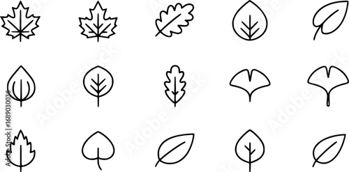 A set of outline vector icons for a leaf.

