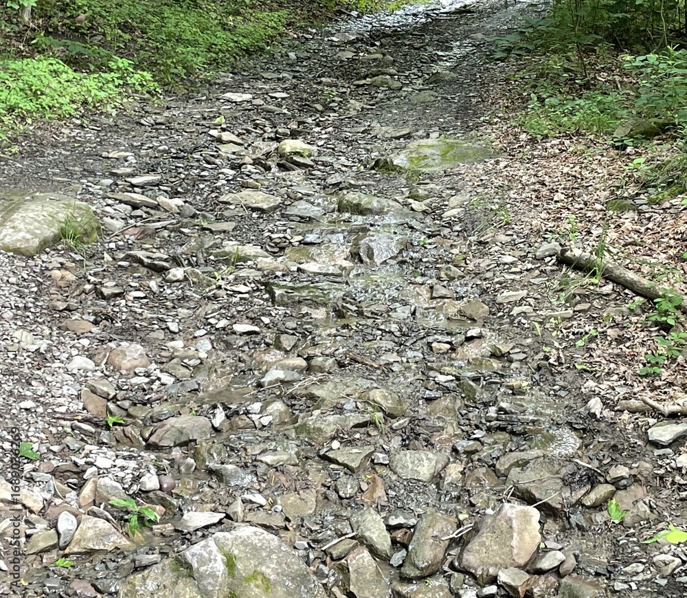 Obraz premium Rocky road