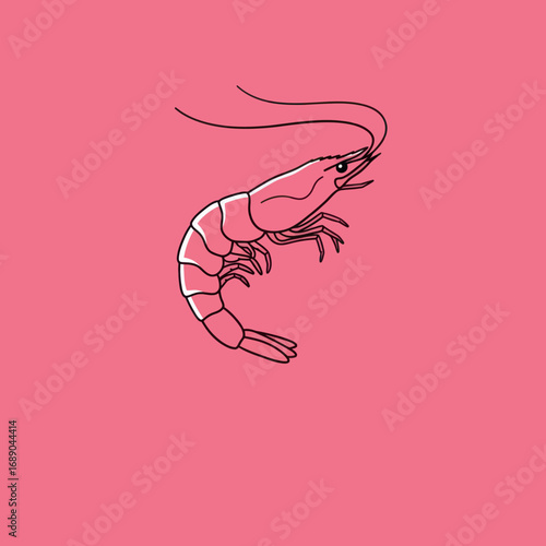 Simple Line Drawing of a Shrimp with Long Antennae on Pink Background.