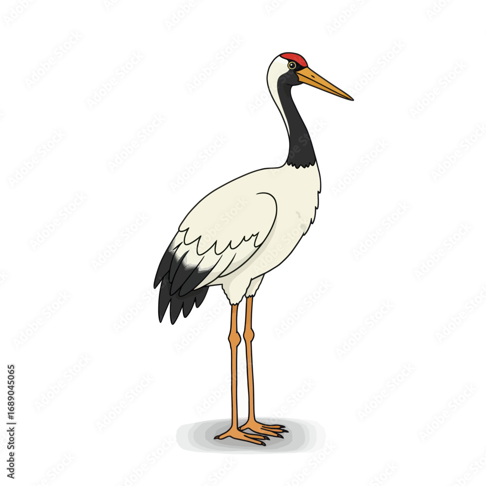 Obraz premium Elegant Standing Crane Illustration with Red Crown, Black Neck, and Long Legs.