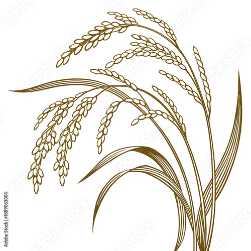 Elegant line art illustration of golden rice stalks and leaves on a white background