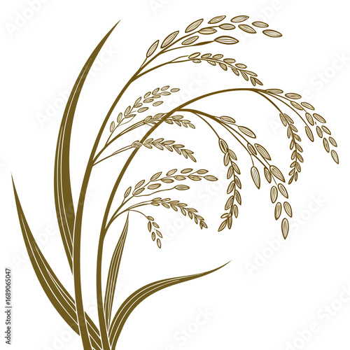 Stylized illustration of golden rice stalks and leaves on a white background