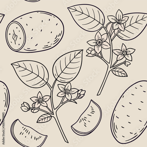 Potato slices and plant blossoms create a charming vegetable line art pattern across the canvas