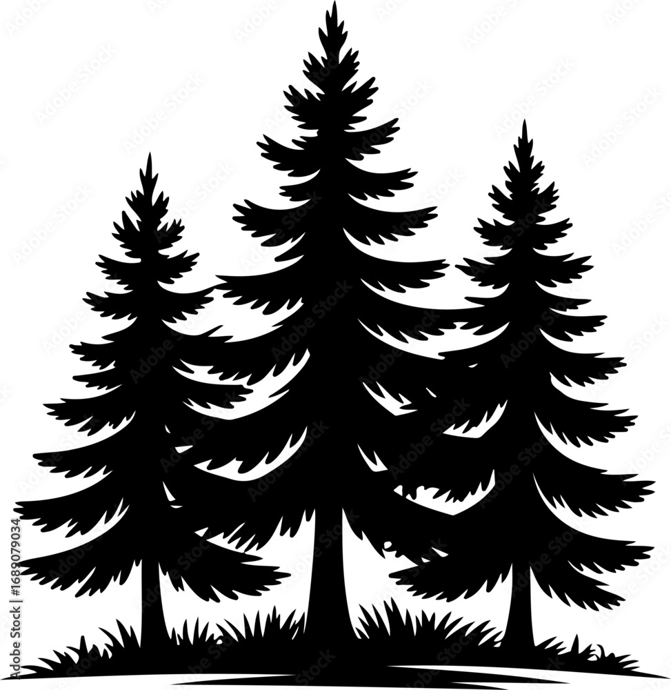 Fototapeta premium Three pine trees silhouette vector illustration