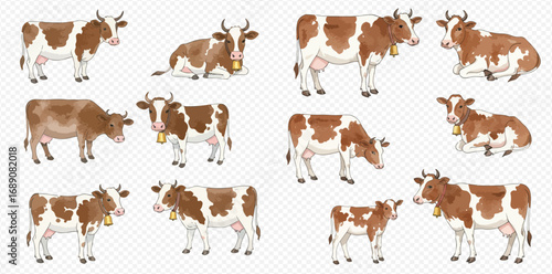 A collection of illustrated dairy cows and a calf with brown and white spots, shown in various poses like standing and lying down.