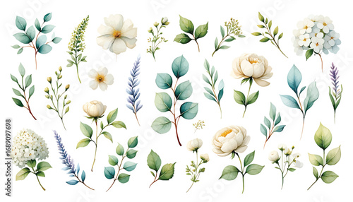 Elegant watercolor collection of white flowers and green leaves. A set of botanical vector floral design elements isolated on white