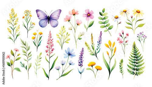 Vibrant Watercolor Flower and Botanical Vector Illustrations Set Featuring Wildflowers, Herbs, and a Beautiful Butterfly