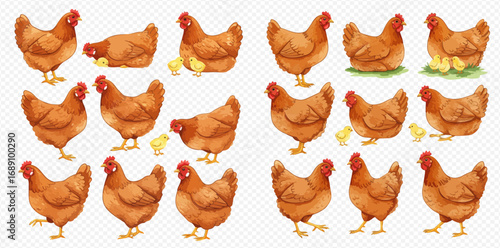 A charming watercolor collection of brown hens and fluffy yellow chicks in various poses and actions.