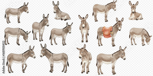 A collection of illustrated donkeys in various poses, including standing, lying down, grazing, and one wearing a saddle, on a transparent background.