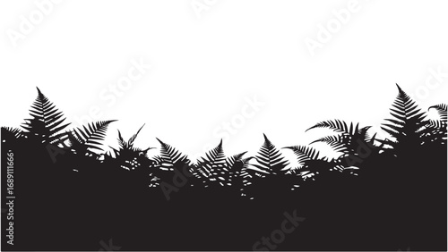 Black Silhouette of Ferns on White Background