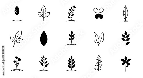 Minimalist plant icon set: modern botanical shapes and silhouettes