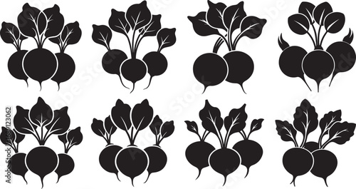set of radishes silhouette, vector and illustration, black and white