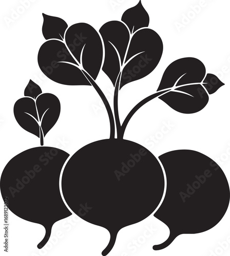 radishes silhouette, vector and illustration, black and white