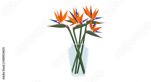 Elegant glass vase with vibrant bird of paradise flowers on white background
