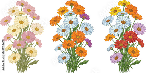 Colorful daisy flower bouquets illustration, vibrant spring floral arrangement, hand-drawn botanical design, nature inspired digital artwork for decor