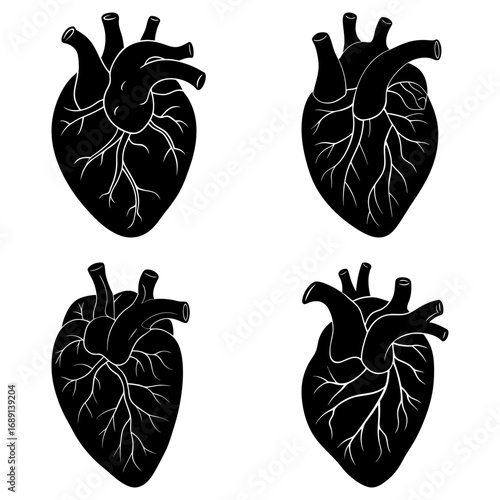 Four anatomical heart illustrations in black and white showing arteries and veins in detailed graphic style