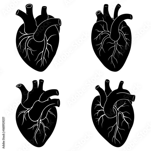 Four anatomical heart illustrations in black and white showing veins and arteries on a white background