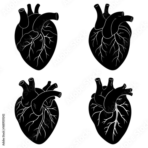 Four anatomical heart illustrations in black and white showing veins and arteries in a repeating pattern