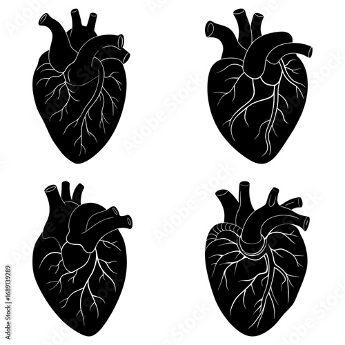 Four anatomical hearts in black and white showing ventricles and atria in a repeating pattern design style