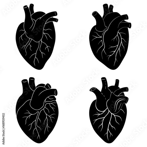 Four anatomical hearts in black silhouette with visible veins and arteries on a white background pattern design