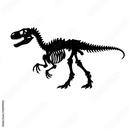 t rex skeleton