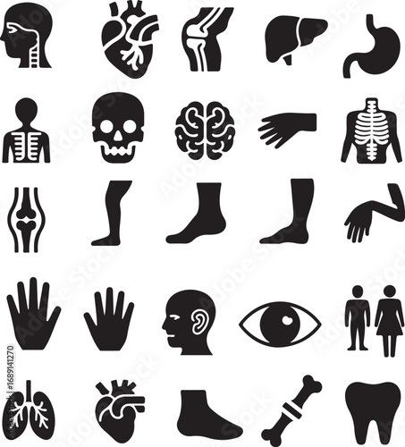 Human Anatomy Thin Line Vector Icon Set – Pixel Perfect Medical SymbolsHuman Anatomy - Thin line vector icon set. Pixel perfect..