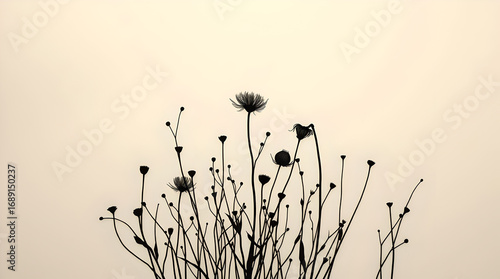 Minimalist drawing of wildflowers with ink on a light beige background