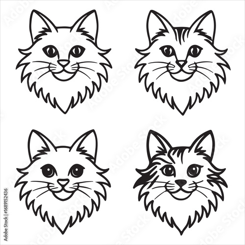 A Playful and Affectionate Ragdoll, a Sweet and Loving Companion Known for its Fluffy Coat and Friendly Personality, a Perfect Addition to a Family Home