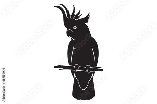 A striking black cockatoo silhouette, isolated on white background, perched on a branch, showcasing its distinctive crest and elegant, avian form
