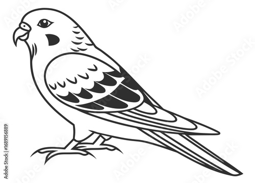 dove on a branch