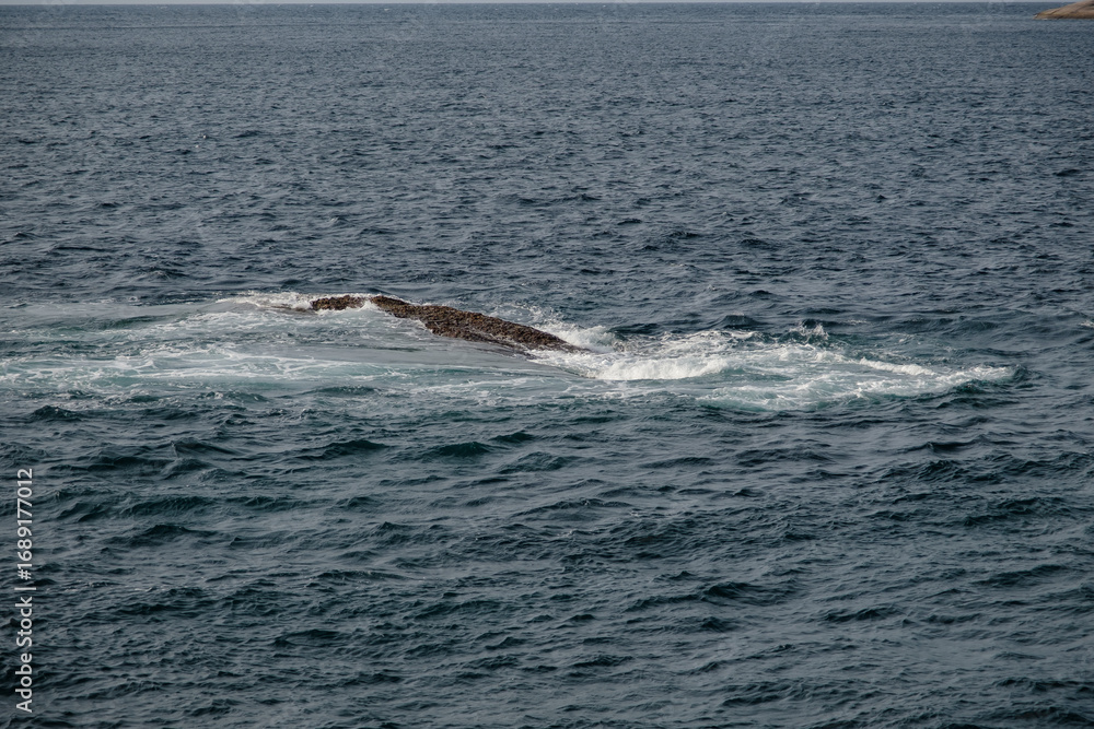 Fototapeta premium small rocks at the open sea in cloudy sky summer day with empty copy space